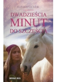 Dwadzieścia minut do szczęścia