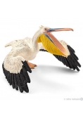 Pelikan