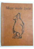 Moje małe życie, miniatura