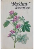 Rośliny lecznicze