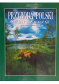 Przyroda Polski. Świat zwierząt