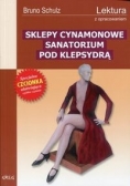 Sklepy cynamonowe: Sanatorium pod Klepsydrą