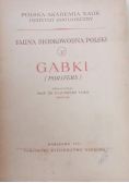 Gąbki