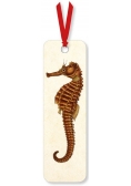 Zakładka do książki A Seahorse