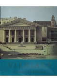 Vilniaus, architektura