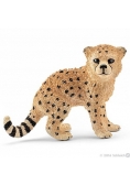 Młody gepard