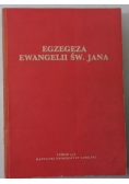 Egzegeza ewangelii św.Jana