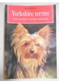 Yorkshire terrier