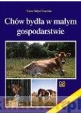 Chów bydła w małym gospodarstwie