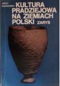 Kultura pradziejowa na ziemiach polskich zarys