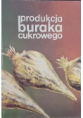 Produkcja buraka cukrowego