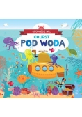 Opowiedz mi co jest... Pod wodą
