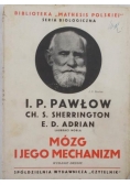 Mózg i jego mechanizm