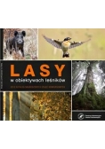 Lasy w obiektywach leśników
