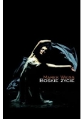 Boskie życie