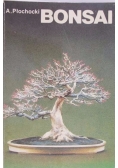 Bonsai-sztuka miniaturyzacji drzew i krzewów
