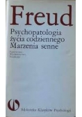 Psychopatologia życia codziennego  Marzenia senne