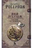 Oko Jelenia - Droga do Nidaros