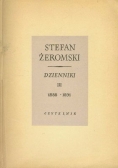 Dzienniki III 1888 - 1891