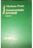 Fenomenologia percepcji