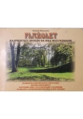 Flażolet