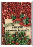 Żurawina i borówka brusznica