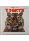Tygrys