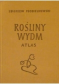 Rośliny wydm