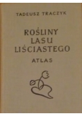 Rośliny lasu liściastego . Atlas