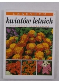 Leksykon kwiatów letnich