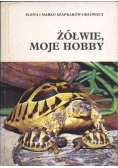 Żółwie, moje hobby