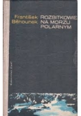Rozbitkowie na morzu polarnym
