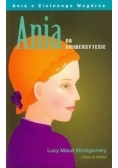 Ania z na uniwersytecie, Nowa
