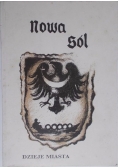 Nowa sól. Dzieje miasta
