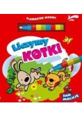 Liczymy kotki