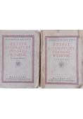 Dzieje literatury polskiej w zarysie, t. I-II,  1924 r.