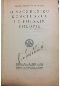O naczelniku Kościuszce i o Polskim chłopie, 1917 r.