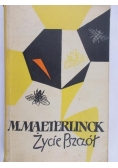 Życie pszczół