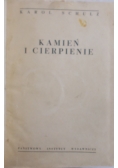 Kamień i cierpienie