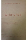 Równina