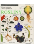 Rośliny. Ilustrowany słownik