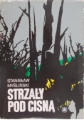 Strzały pod Cisną