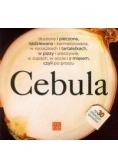 Cebula