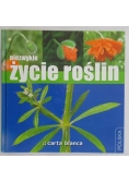 Niezwykłe życie roślin
