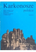 Karkonosze polskie