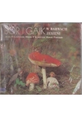 Bór i Gaik w barwach jesieni / Bór i gaik w zimowej szacie