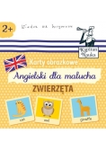 Karty obrazkowe Angielski dla malucha Zwierzęta