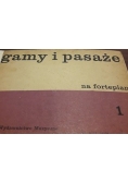 Gamy i pasaże
