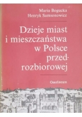 Dzieje miast i mieszczaństwa w Polsce przedrozbiorowej