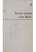 Ice Bird